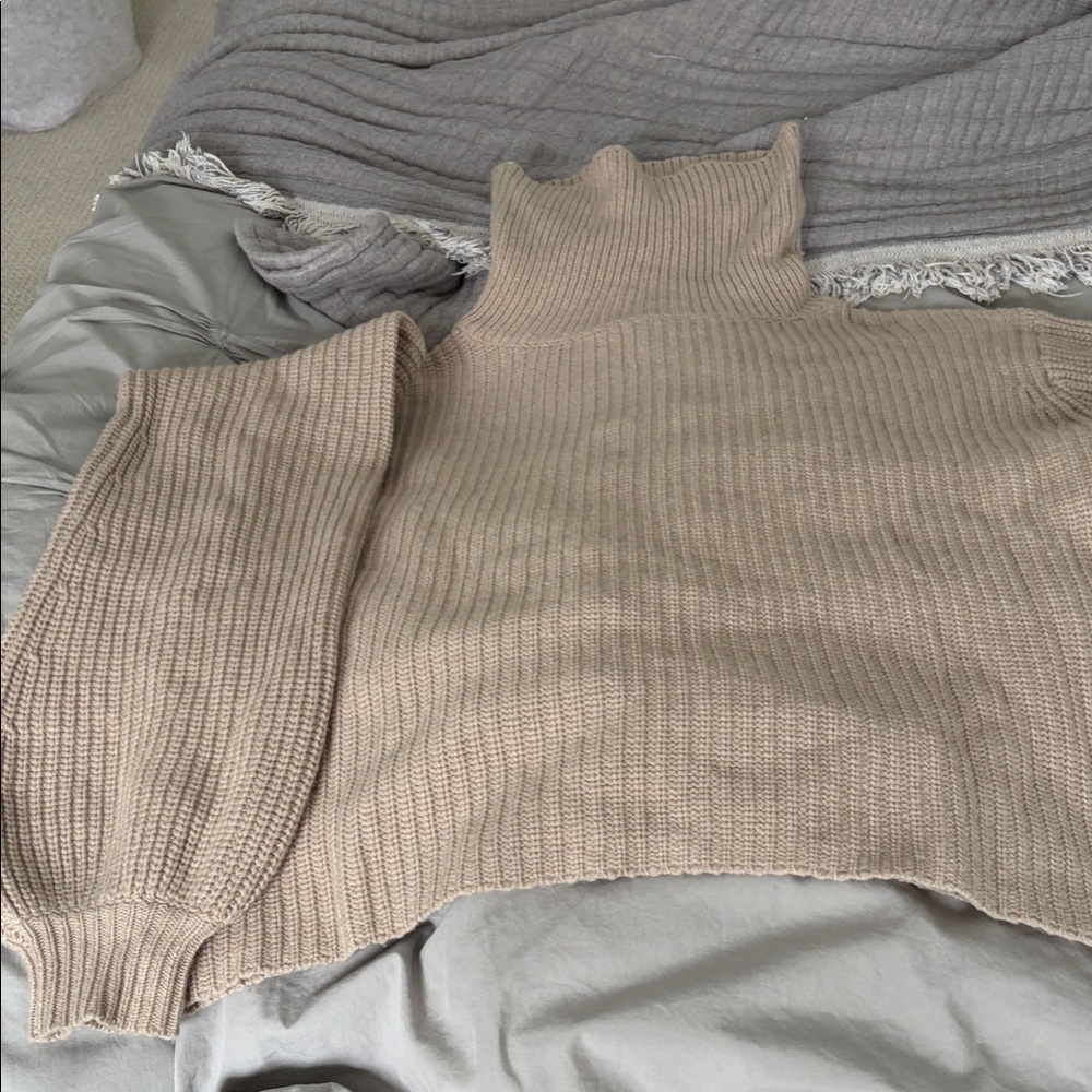 Elegant Beige Turtleneck Sweater